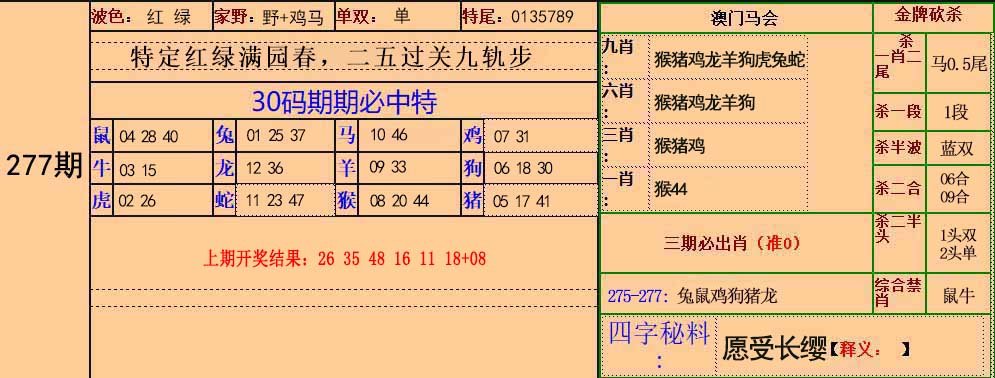 30码中特